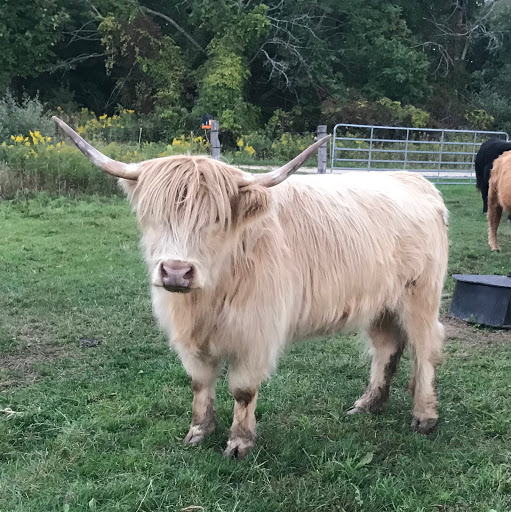 Great Lakes Sire Services