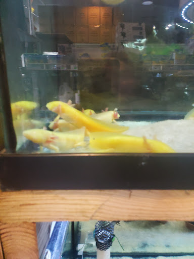Pet Store «Fish-N-Pets Unlimited», reviews and photos, 11710 Bissonnet St, Houston, TX 77099, USA