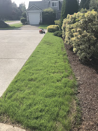 Three seasons landscaping - Photo 9 - Car repair in , Tacoma