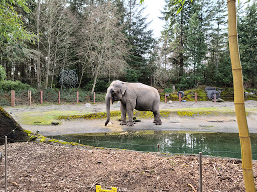 Zoo «Point Defiance Zoo & Aquarium», reviews and photos, 5400 N Pearl St, Tacoma, WA 98407, USA