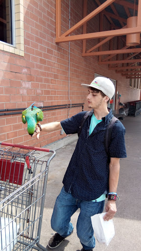 Grocery Store «H-E-B Grocery», reviews and photos, 110 Brazos Street, West Columbia, TX 77486, USA