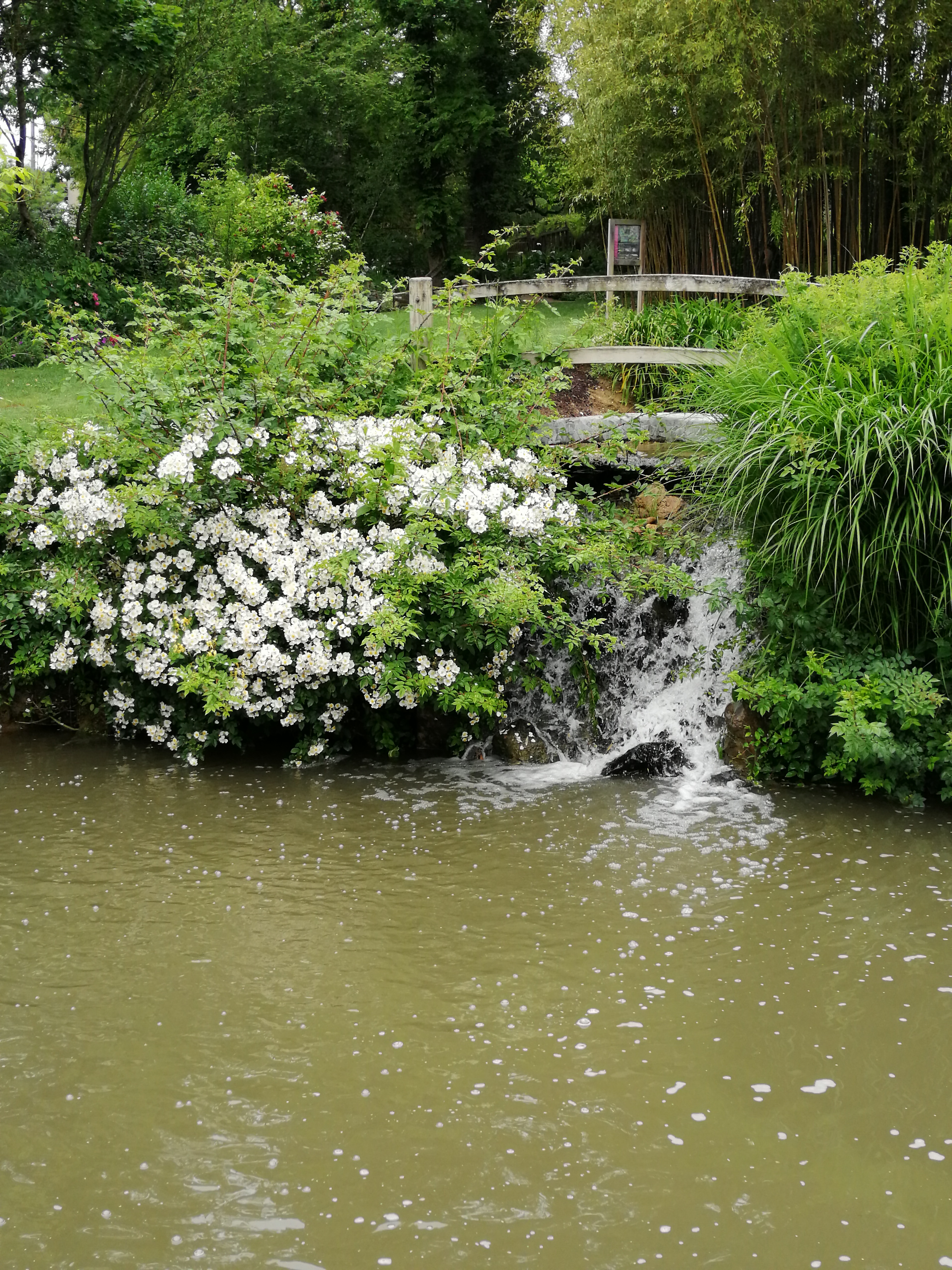 Photo n° 6 de l'avis de Vince.w fait le 26/05/2019 à 14:48
