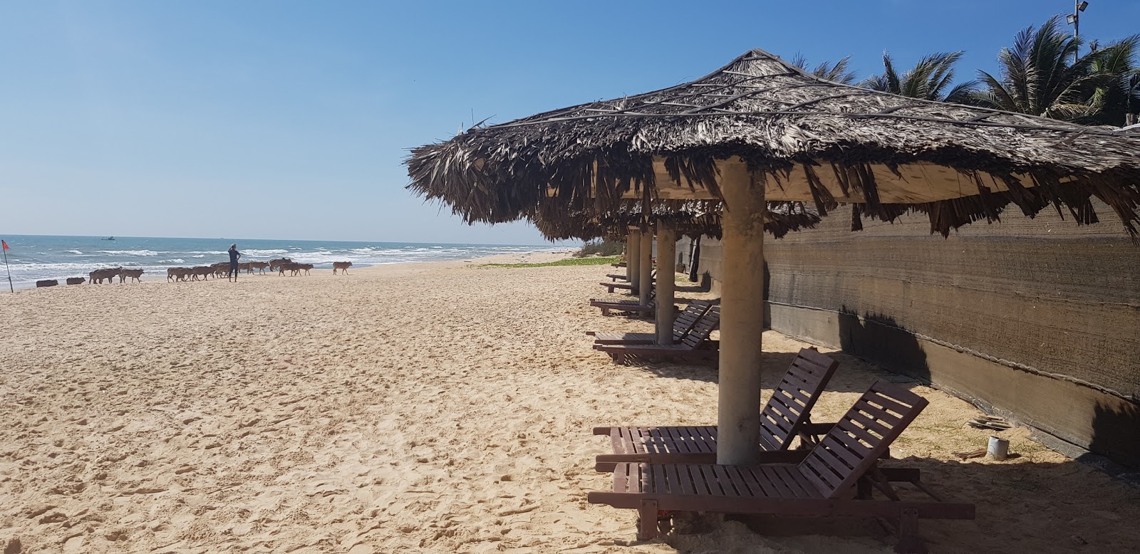 Foto de Aloha Phan Thiet Beach - lugar popular entre os apreciadores de relaxamento