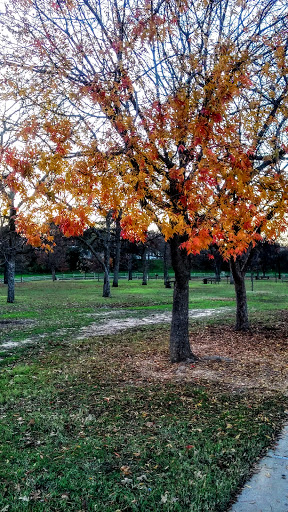 Recreation Center «Senter Recreation Center», reviews and photos, 901 Senter Rd, Irving, TX 75060, USA