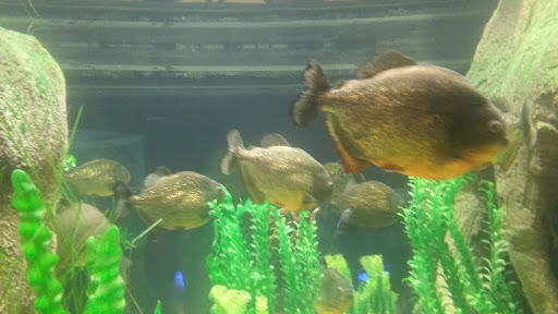 Tourist Attraction «OdySea Mirror Maze», reviews and photos, 9500 East Vía de Ventura #200, Scottsdale, AZ 85256, USA