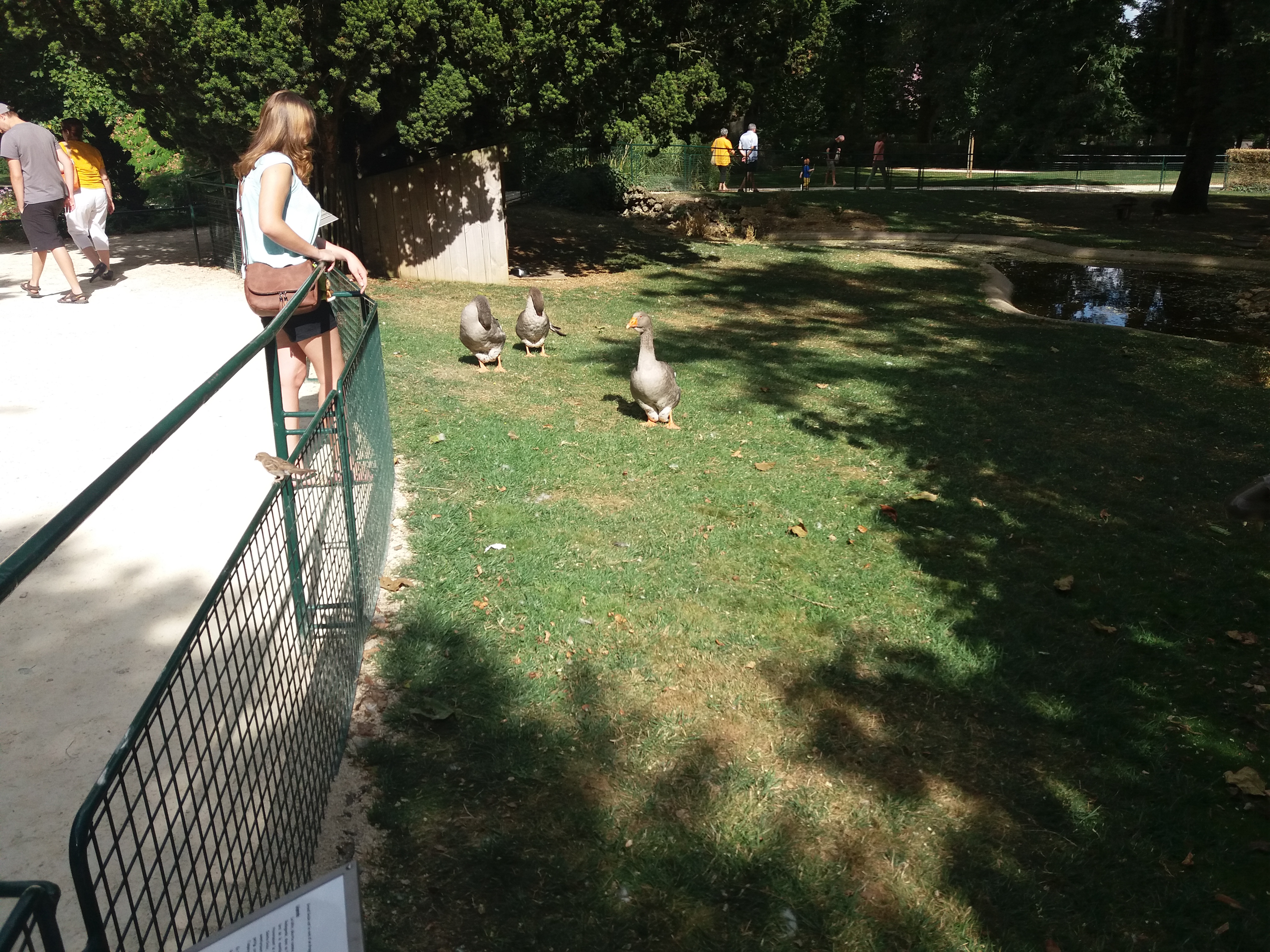 Photo n° 7 de l'avis de Théo.a fait le 08/08/2018 à 16:52