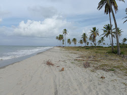 Foto von Lucena Strand - beliebter Ort unter Entspannungskennern