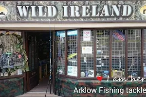Wild Ireland Arklow image