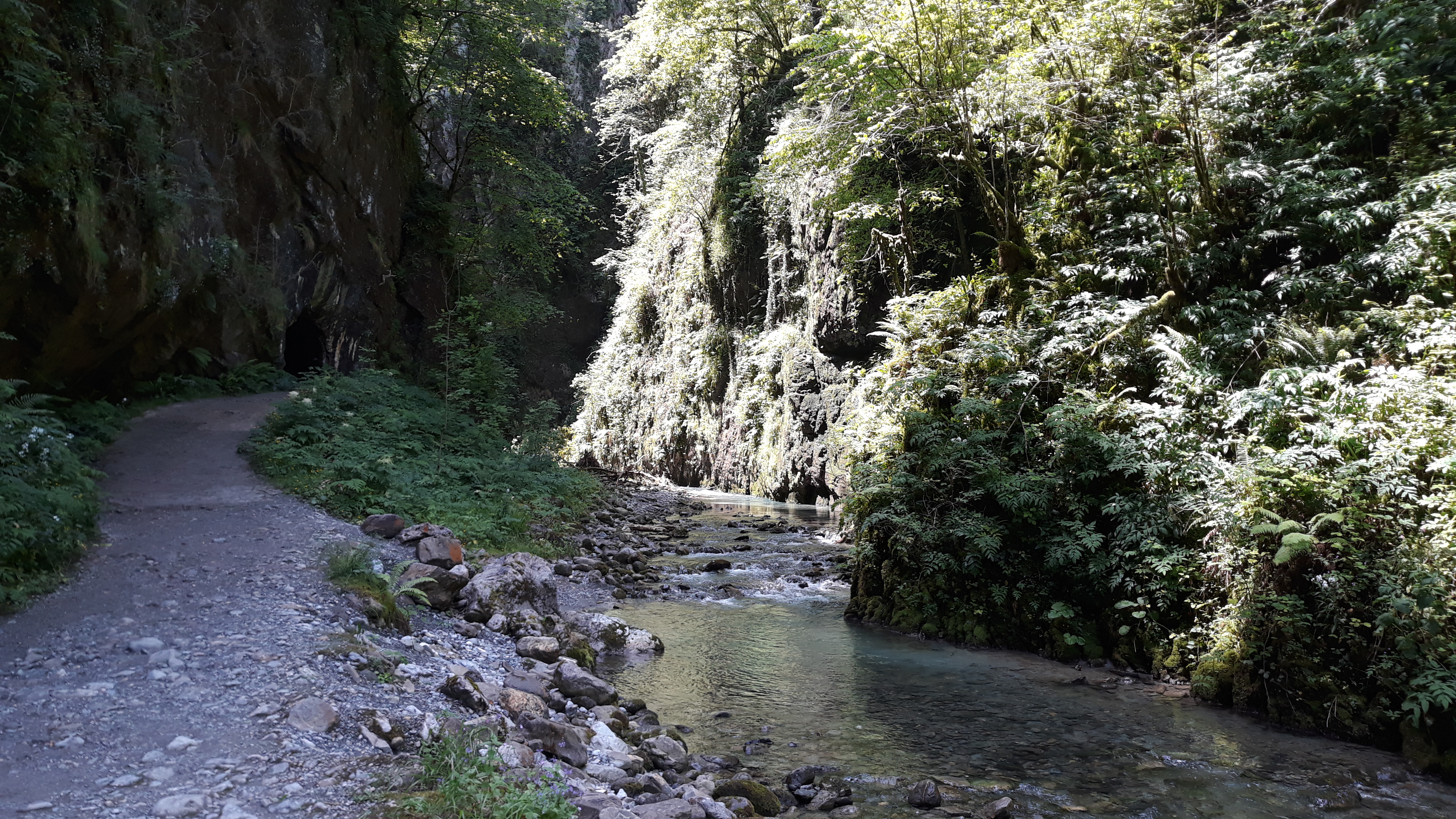 Photo n° 8 de l'avis de Billaud.i fait le 01/07/2019 à 06:22