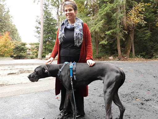 Golf Club «Meadowmeer Golf & Country Club», reviews and photos, 8530 Renny Ln NE, Bainbridge Island, WA 98110, USA