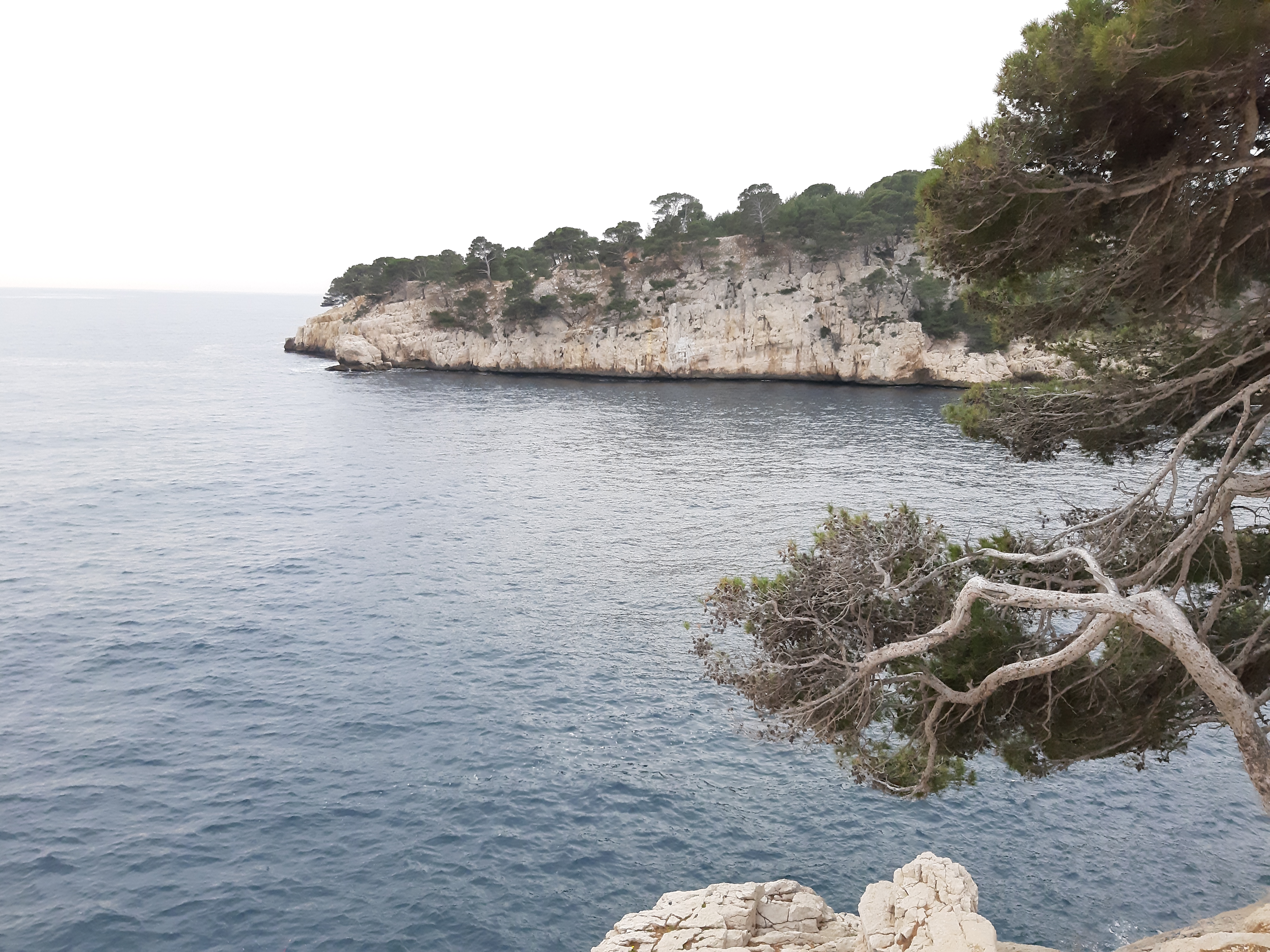 Photo n° 6 de l'avis de Ninette. fait le 25/03/2021 à 12:46