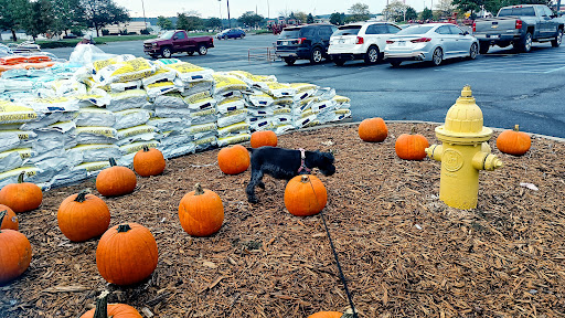 Department Store «Rural King», reviews and photos, 230 Central Pkwy, Heath, OH 43056, USA