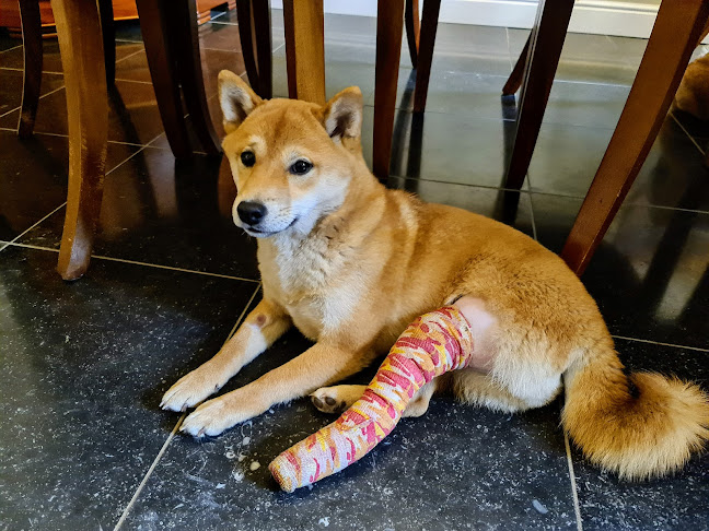 Dierenkliniek Aan de Heikant Kalmthout