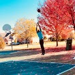 Washington Park Basketball Court - North