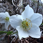 Photo n°2 de l'avis de silvia.u fait le 23/01/2018 à 11:54 sur le  Val Vertova Roset à Vertova