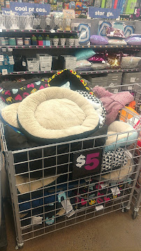 Five Below - Photo 6 - Car repair in Syracuse, NY, Syracuse