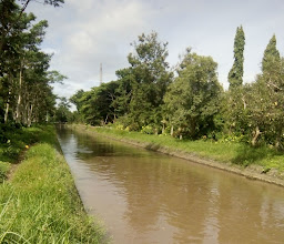 Taman Kodokngorek photo