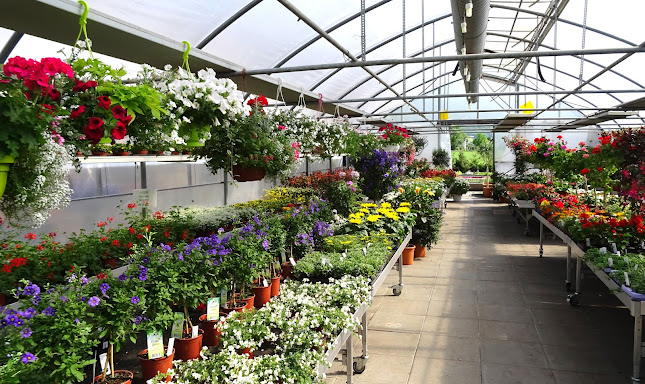 Gebr. Kuster AG – Gartenbau, Blumenladen, Gartencenter - Kriens