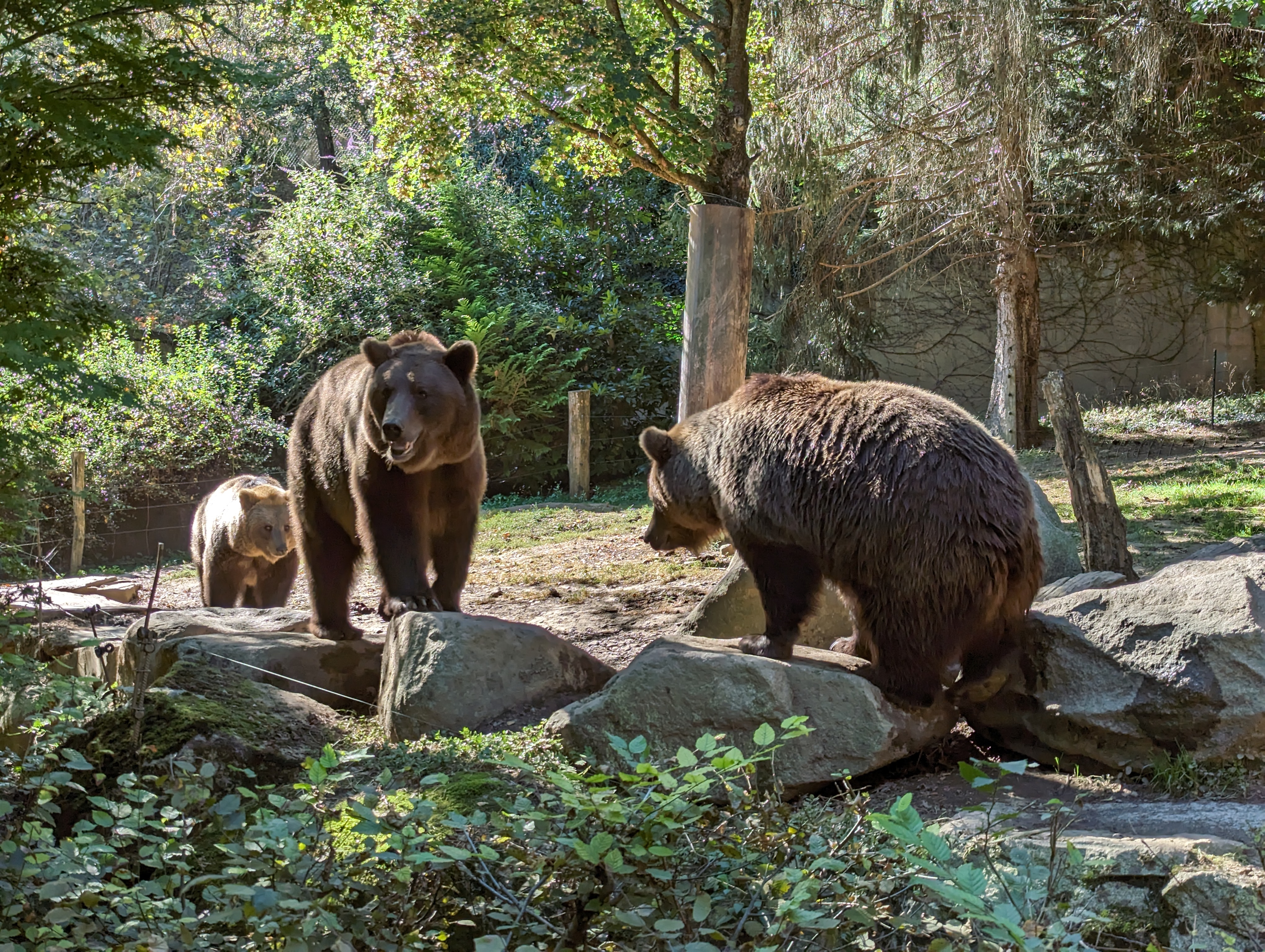 Photo n° 50 de l'avis de Thibaud.l fait le 10/10/2023 à 07:10