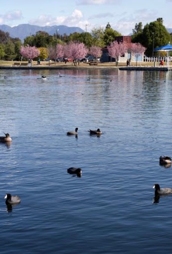 Park «Lake Balboa/Anthony C. Beilenson Park», reviews and photos, 6300 Balboa Blvd, Van Nuys, CA 91406, USA