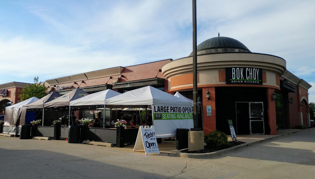 Bok Choy Asian Kitchen Addison Glen Ellyn, IL 60101 Menu, Hours