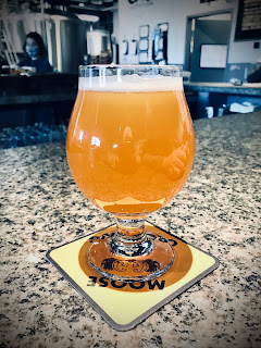 A pint of beer on a bar