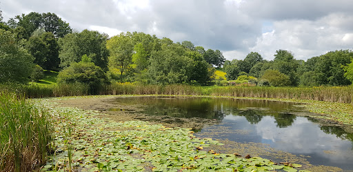 Houston Pond image 1