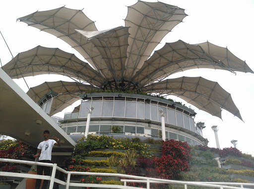 Pergolas en Barquisimeto