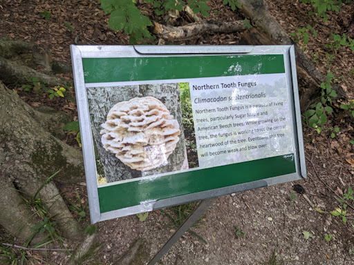 Park «Blacklick Woods Metro Park», reviews and photos, 6975 East Livingston Avenue, Reynoldsburg, OH 43068, USA