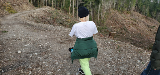 Golf Course «The Blue Heron Golf Course», reviews and photos, 1810 W Snoqualmie River Rd, Carnation, WA 98014, USA