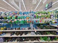 Pet Supplies Plus White Lake - Highland - Photo 9 - Car repair in White Lake, MI, South Lyon