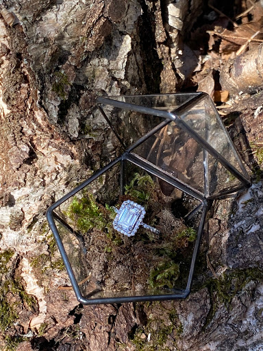 Jeweler «Azar Jewelers», reviews and photos, 100 W Higgins Rd, South Barrington, IL 60010, USA