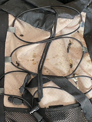 Self-Storage Facility «American Mini Storage», reviews and photos, 4108 Hickory Tree Rd, Balch Springs, TX 75180, USA