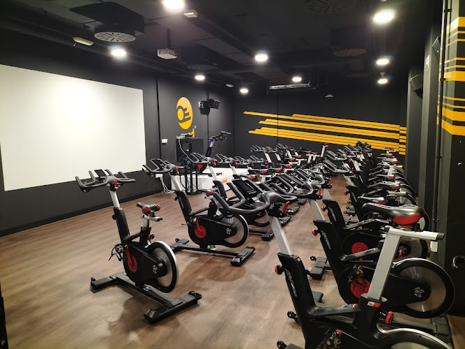 Synergym Murcia Centro – Revisión & Opiniones