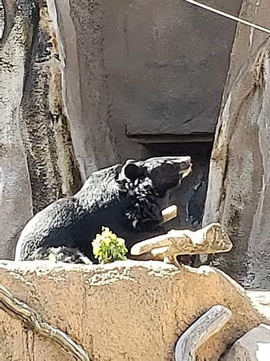 Zoo «Cheyenne Mountain Zoo», reviews and photos, 4250 Cheyenne Mountain Zoo Rd, Colorado Springs, CO 80906, USA