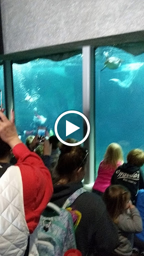 Community Center «Southeast Community Center», reviews and photos, 4201 E 63rd St, Kansas City, MO 64130, USA