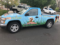Backyard Pooper Scooper Of Colorado Springs - Photo 8 - Car repair in Colorado Springs, CO, Colorado Springs
