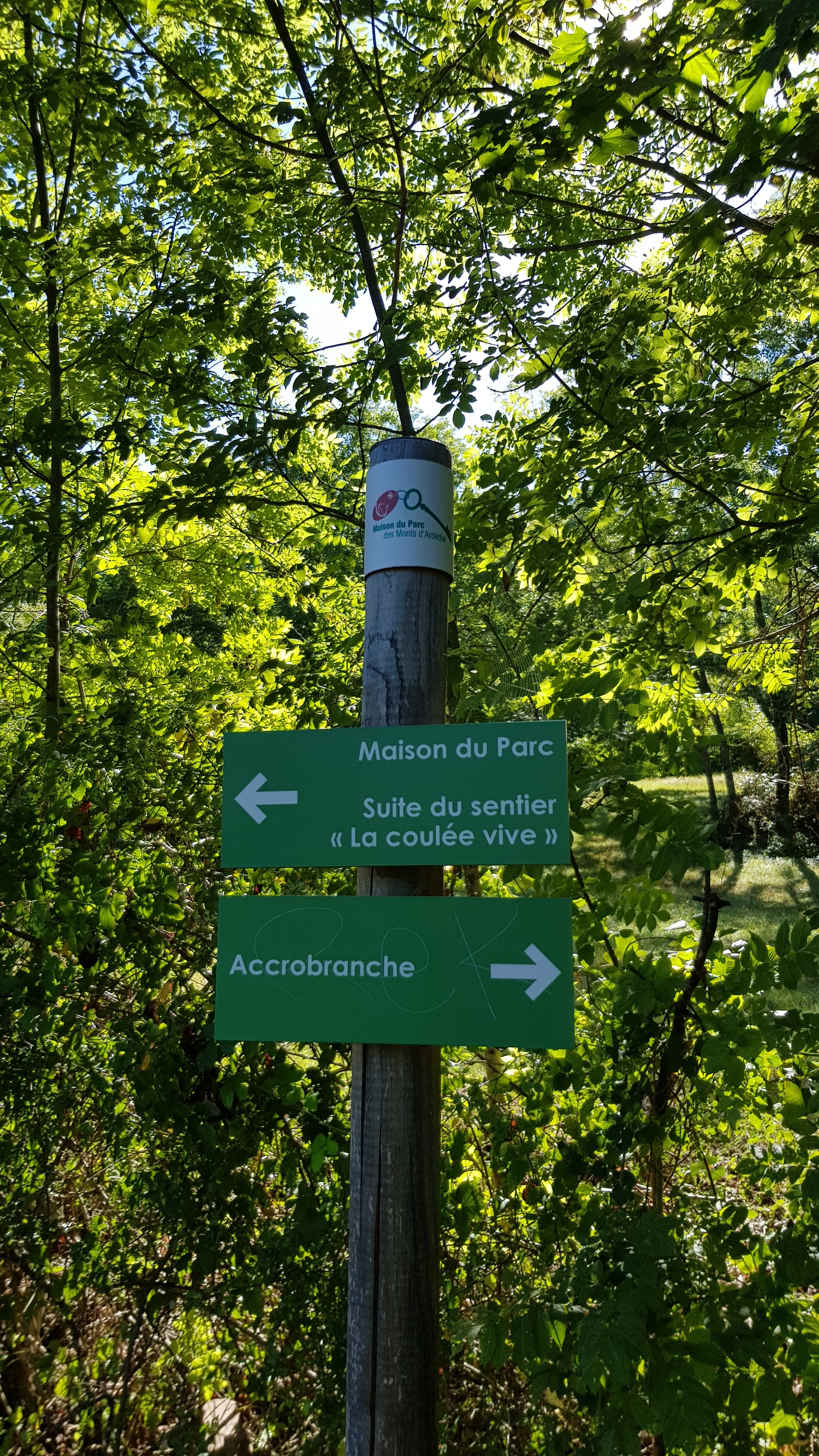 Photo n° 1 de l'avis de F. fait le 17/08/2020 à 14:02