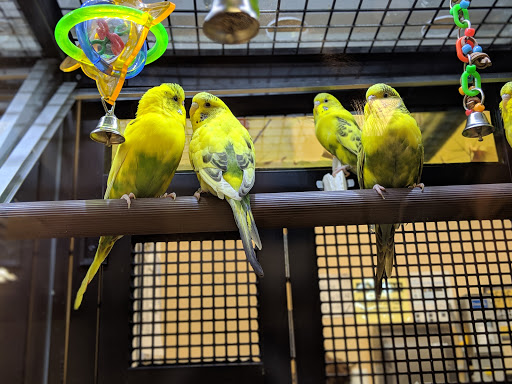 Pet Supply Store «PetSmart», reviews and photos, 160 Washington St #701, Rochester, NH 03839, USA