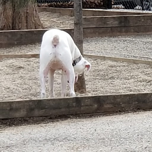 Dog Park «Wiggly Field Dog Friendly Area», reviews and photos, 2645 N Sheffield Ave, Chicago, IL 60614, USA