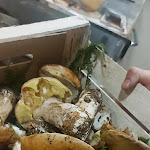 Photo n°1 de l'avis de Sabrina.r fait le 26/09/2023 à 08:31 sur le  Ristorante Freidour à Cumiana