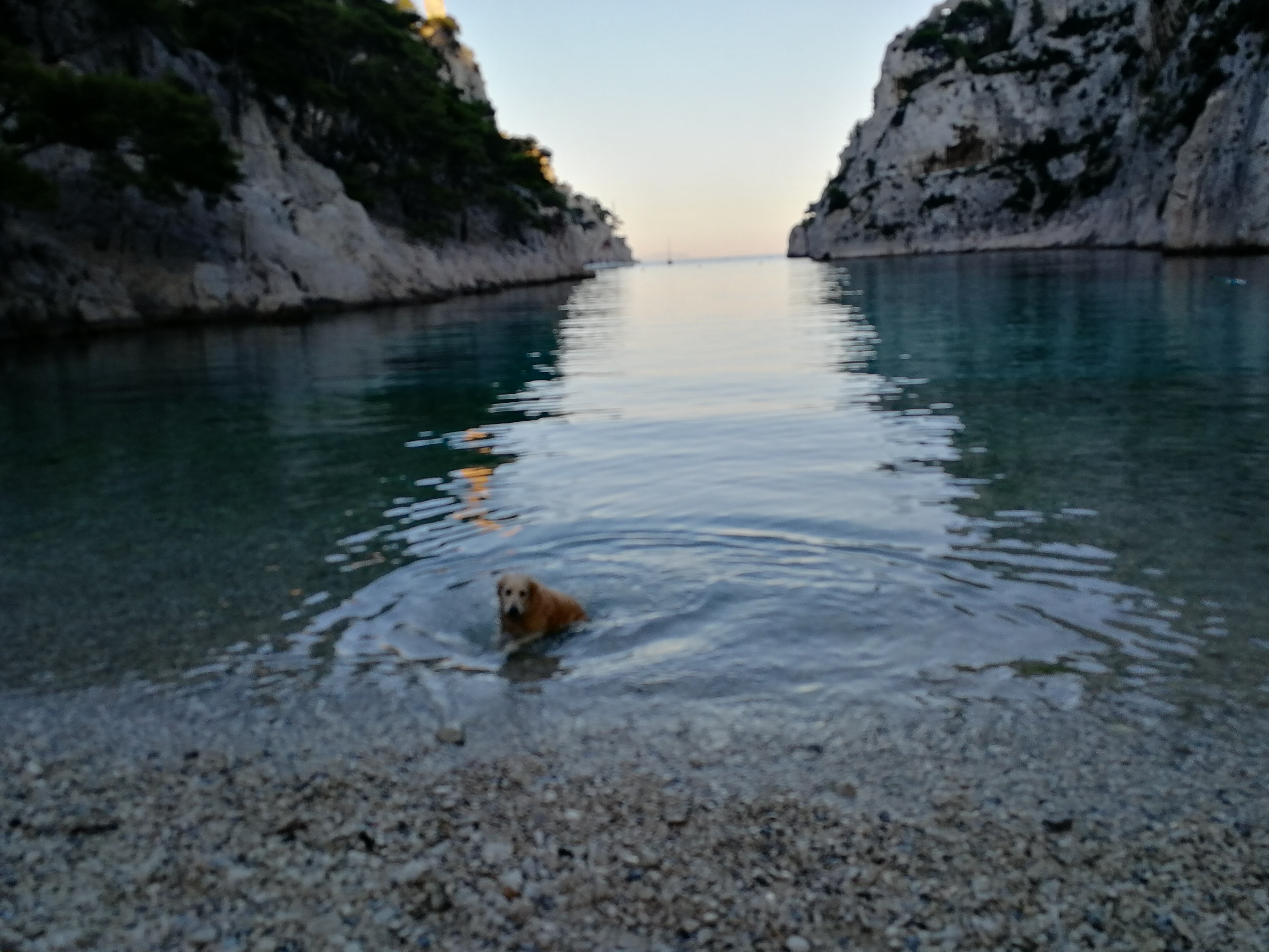 Photo n° 7 de l'avis de virginie.a fait le 29/07/2018 à 16:08