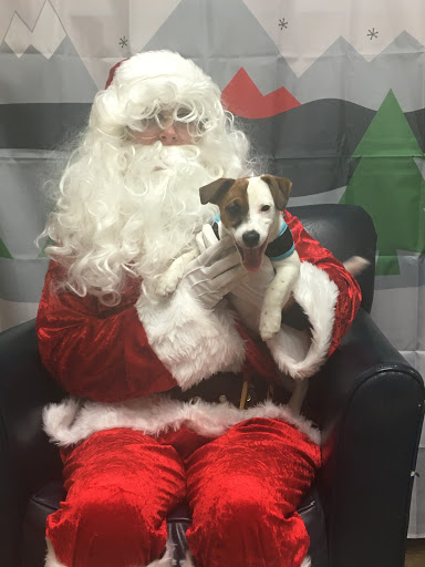 Pet Supply Store «PetSmart», reviews and photos, 7654 Campus View Dr, West Jordan, UT 84084, USA