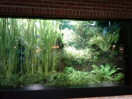 Live Music Venue «Power Plant Live!», reviews and photos, 34 Market Pl, Baltimore, MD 21202, USA