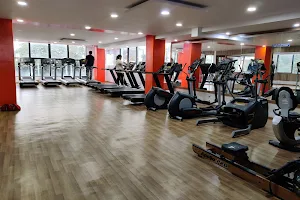 Elite Fitness Club - Available on cult.fit - Gyms in R.M.V, Bangalore image