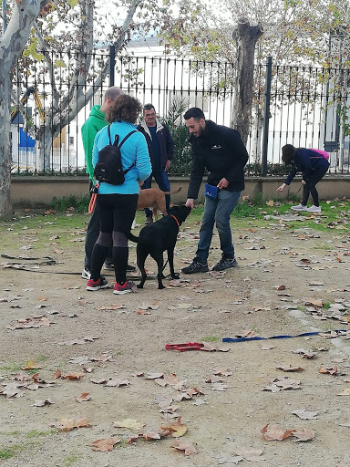 Adiestramiento y Terapia Canina en Granada - Perruneando Granada