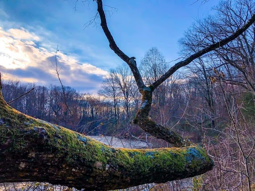 Thrift Store «Second Blessing Thrift Store Inc.», reviews and photos, 2323 Central Ave, Wichita, KS 67214, USA