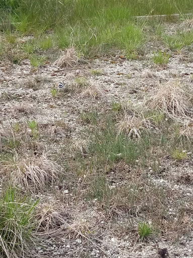 Nature Preserve «Bode Lake», reviews and photos, Bode Rd, Streamwood, IL 60107, USA