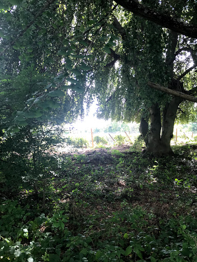 Vineyard «Diamond Hill Vineyards», reviews and photos, 3145 Diamond Hill Rd, Cumberland, RI 02864, USA