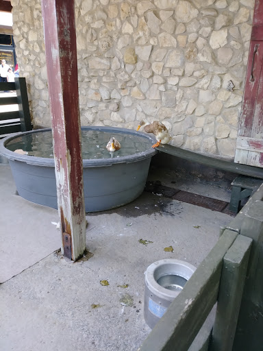 Zoo «Fort Worth Zoo», reviews and photos, 1989 Colonial Pkwy, Fort Worth, TX 76110, USA